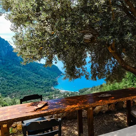 Uzak Treehouse Villa Faralya