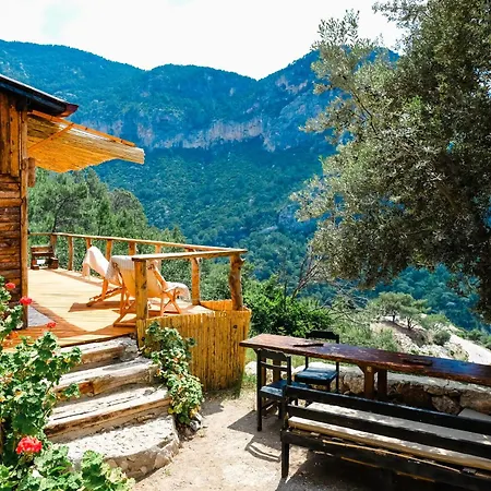 Uzak Treehouse * Faralya